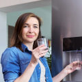 Are Generic Refrigerator Water Filters Really OK?