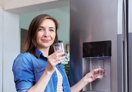 Are Generic Refrigerator Water Filters Really OK?